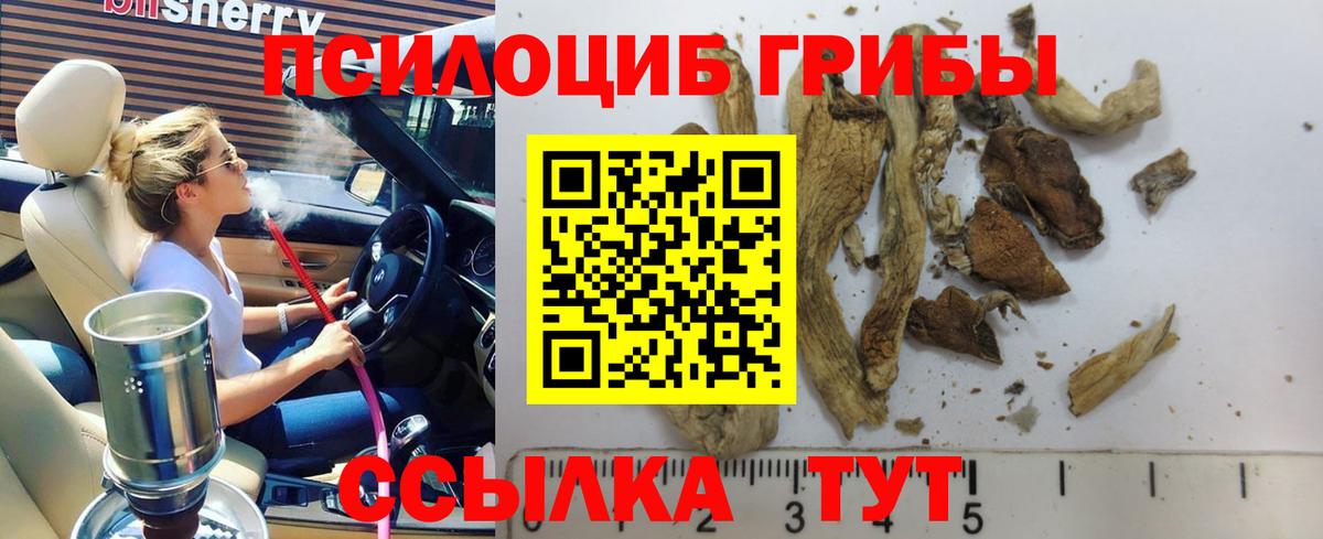 Псилоцибиновые грибы MAGIC MUSHROOMS  цена   Вход с VPN  Ефремов  Псилоцибиновые грибы мицелий 